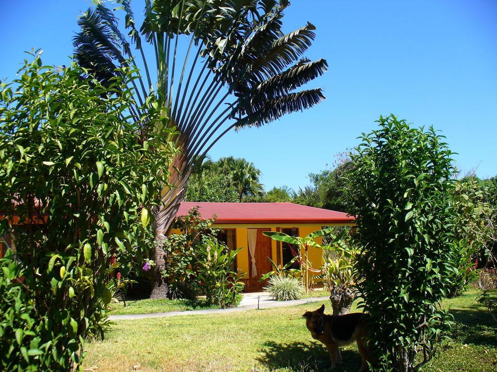 El Paraiso Verde B&B Atenas Quarto foto
